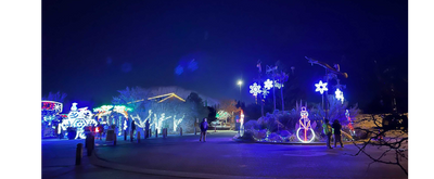 Albuquerque Christmas Lights, Most-Festive Homes  Built Story